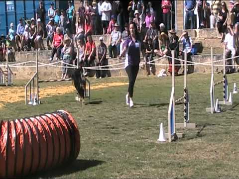 Perth Royal Show 2010 Teams Jumping: Tess and Storm