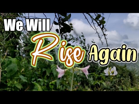 We Will Rise Again/ Hand In hand we brave the Storm Of Life