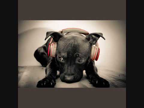 DJ Murat Bal   DJ Celal Yavuz deePerfect 02  ( Deep House )