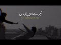 Yaadan Vichre Sajan Diyan Ayiyan Ustad Nusrat Fateh Ali Khan Qawwali Status