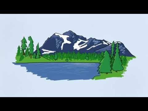 Öffentliche vs. private Güter