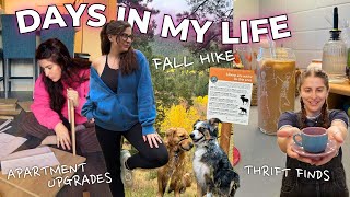 DAYS IN MY LIFE: a fall hike, new thrift finds, & apartment upgrades!