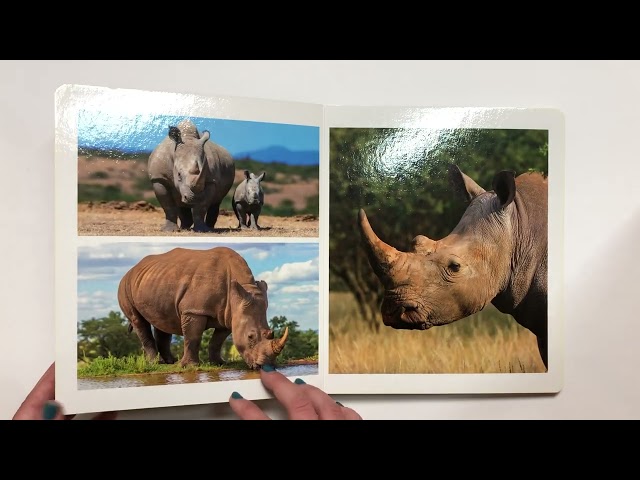 Vídeo relacionado con Animales polares (LIBROS DE FOTOGRAFIA)