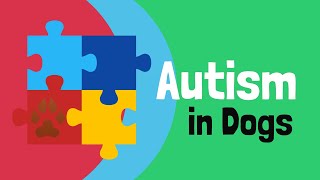 Can you have an autistic dog  | Veterinarian Explains