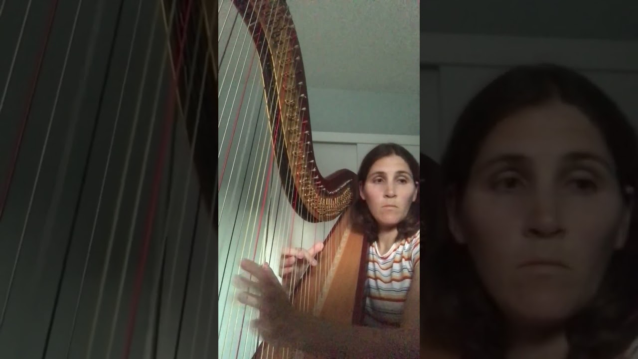 Promotional video thumbnail 3 for Harp by Anna