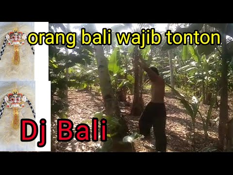 Proses Pembuatan Dapur