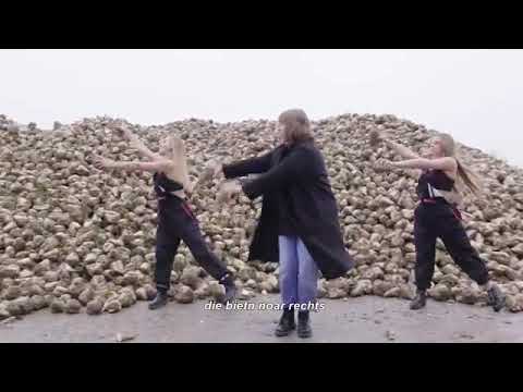 TikTok Tammo - Dikke Bak Met Bietn [REUPLOAD] #freethebietn