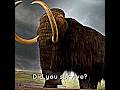 Two Animals That Lived Through Dinosaurs Dinosaur Prehistoricworld Prehistoricanimal Coelecanth