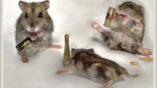 Mark Owen I Am What I Am