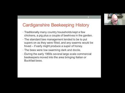 BIBBA Webinar   My 50 Years Experience of Imported Bees Affecting Local Stock