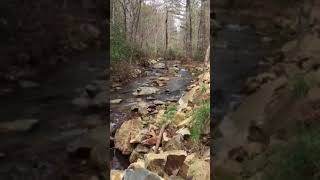 Beautiful trout stream
