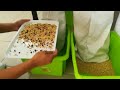 Pine Nuts Color Sorter Separation Of Pine Nut Impurities