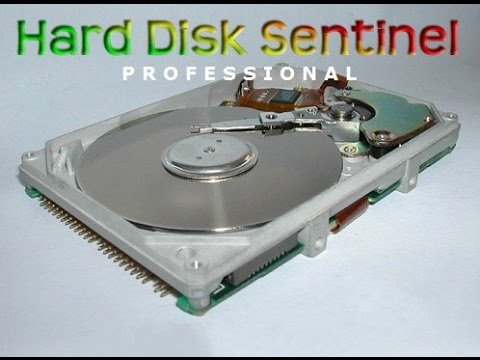 Обзор программы для диагностики жестких дисков Hard Disk Sentinel Pro
