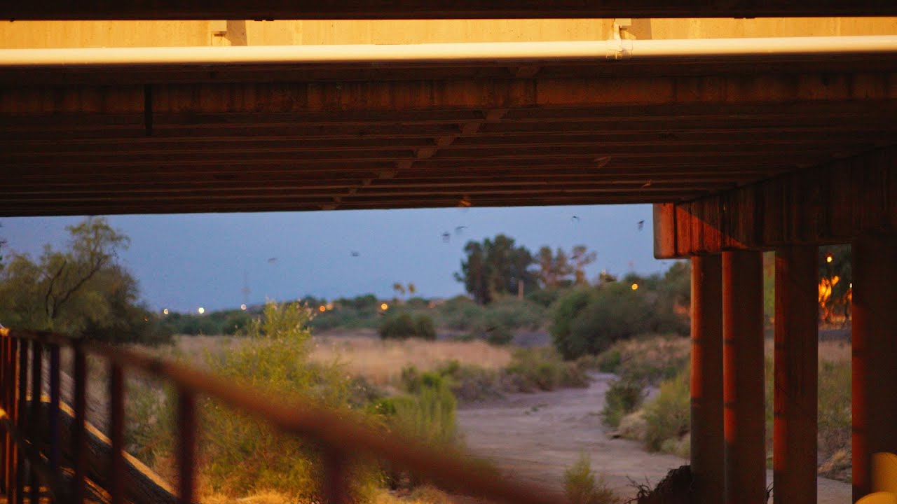 Pantano Bat Bridge