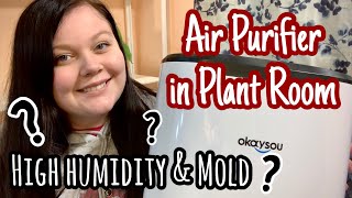 Humidity in my Plant Room | Okaysou AirMax8L Air Purifier Review