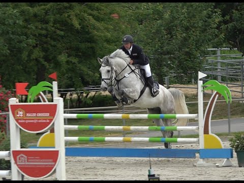 Cellestial - Kolibri, mecklenburger, gelding,  * 2015 for sale