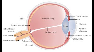 Chorioretinitis; inflammatory condition affecting both the retina and the choroid of the eye