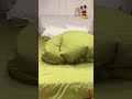 ️funniest Cat Don T Try To Hold Back Laughter