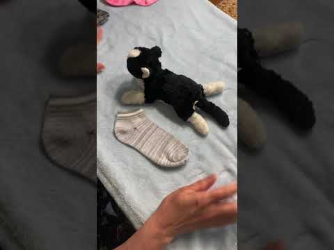 Kittens in protective sock onesies