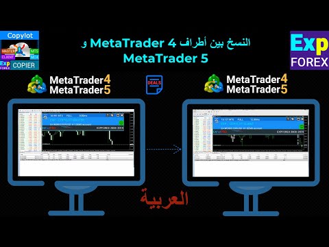 فيديو عن ناسخ الصفقات Exp-Copylot لنسخ تداول MT4 وMT5 بدقة عالية