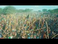 WALAGA LUKWAJA LUGANDA PRD BY MBASHA STUDIO 2025 Mp3