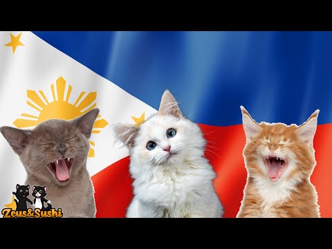 Philippine National Anthem With Lyrics - Cats Song Cover