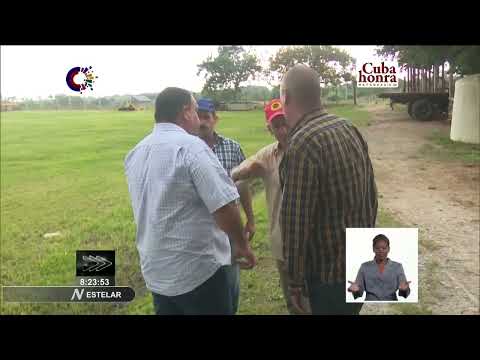 Chequean campaña de primavera en Pinar del Rio, Cuba