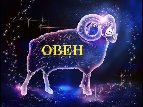 ОВЕН / Какие комнатные цветы подходят по знаку ЗОДИАКА? / Галерея Цветов / Flower Gallery