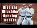 Practical Kata Bunkai Niseishi Nijushiho Opening Sequence