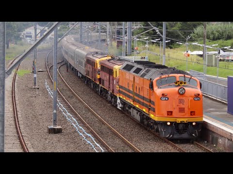 The chase of 8L03 lead by CLF4, 4486, 4464