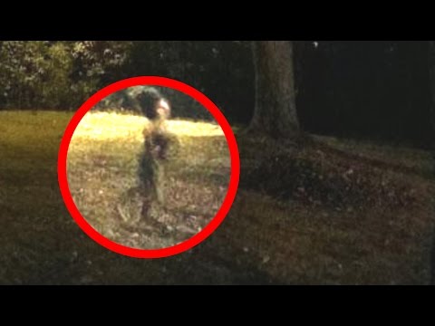 Unknown Creature Caught on Camera Video