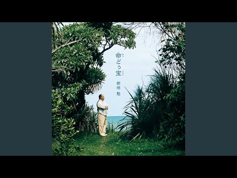 風に吹かれて のサムネイル