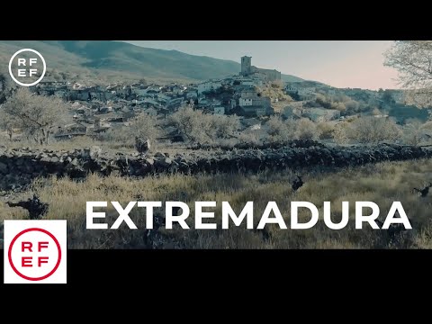 Extremadura, sede del Play Off de ascenso a Segunda División