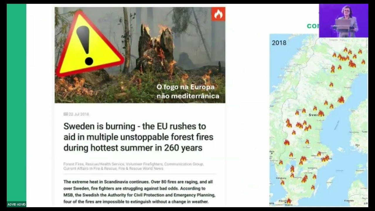 Conferência: Impacto dos Incêndios no Setor Vitivinícola