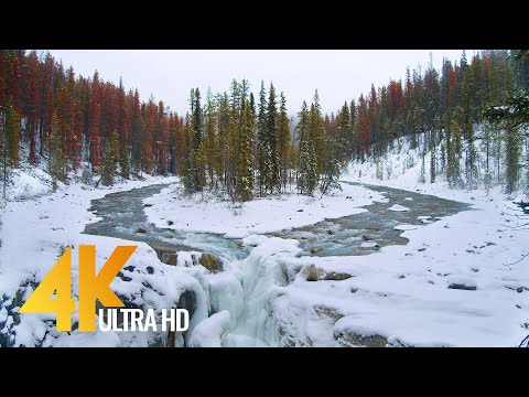 4K Winter Beauty of Canadian Nature - Part #3 - Short Preview Video