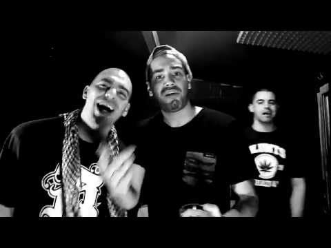 Fianru-Aspek-Orion XL (Promo 23 de agosto)