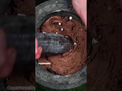 Crush and eat chocolates 🌰🍫