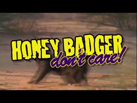 Tribute to Honey Badger Tyrann Mathieu Highlights by Gashouse Gorillaz LSU