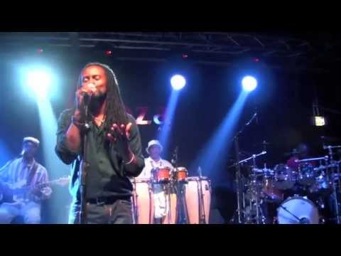 Miroca Paris "Otilio"