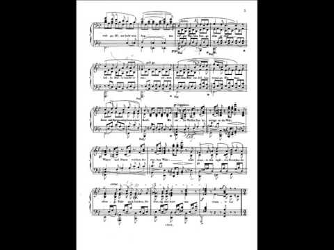 Wagner - Siegmund's lovesong (Piano transcription - Tausig)