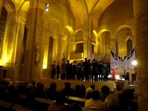 Le moulin de la Vierge (Alexis Sombrun), Concert Trompes de Chasse et Orgue, Gien, 31-03-2012