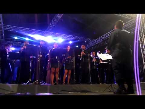 Seleção "TIM MAIA"