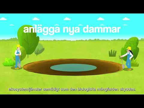 [Swedish] Hur skapar man en ny damm? How to create a new pond?