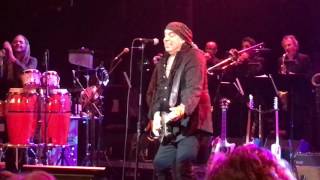 Little Steven  and the Disciples of Soul. Forever