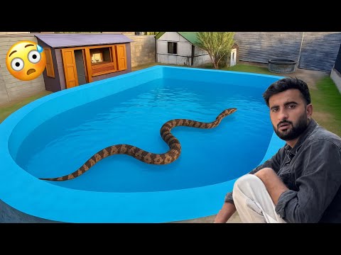 Swimming pool Ke Mini Zoo Mai Saanp Aa Gaya Aaj To 😧 || Shehr Main Dihat