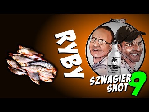 Ryby - Szwagier SHOT 85