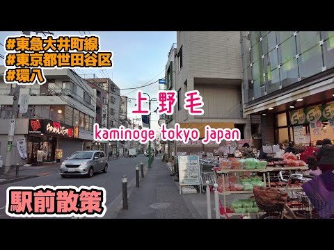 東京散歩 上野毛(世田谷区) Tokyo Cityscape Kaminoge Setagaya-ku