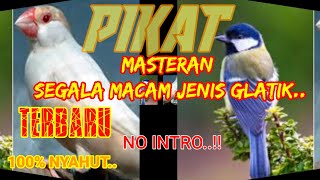 Download lagu SUARA PIKAT SEMUA JENIS GLATIK TERBARU mp3