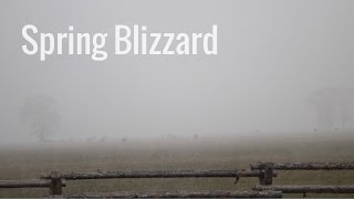 Wonderful Wyoming Weather - Spring Blizzard - 4/8/17