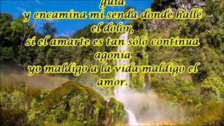 MI DESTINO FUE QUERERTE   FLOR SILVESTRE